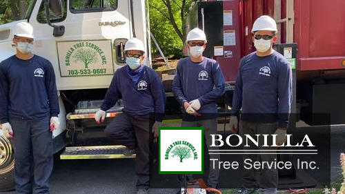 contact Bonilla Tree Service Inc.